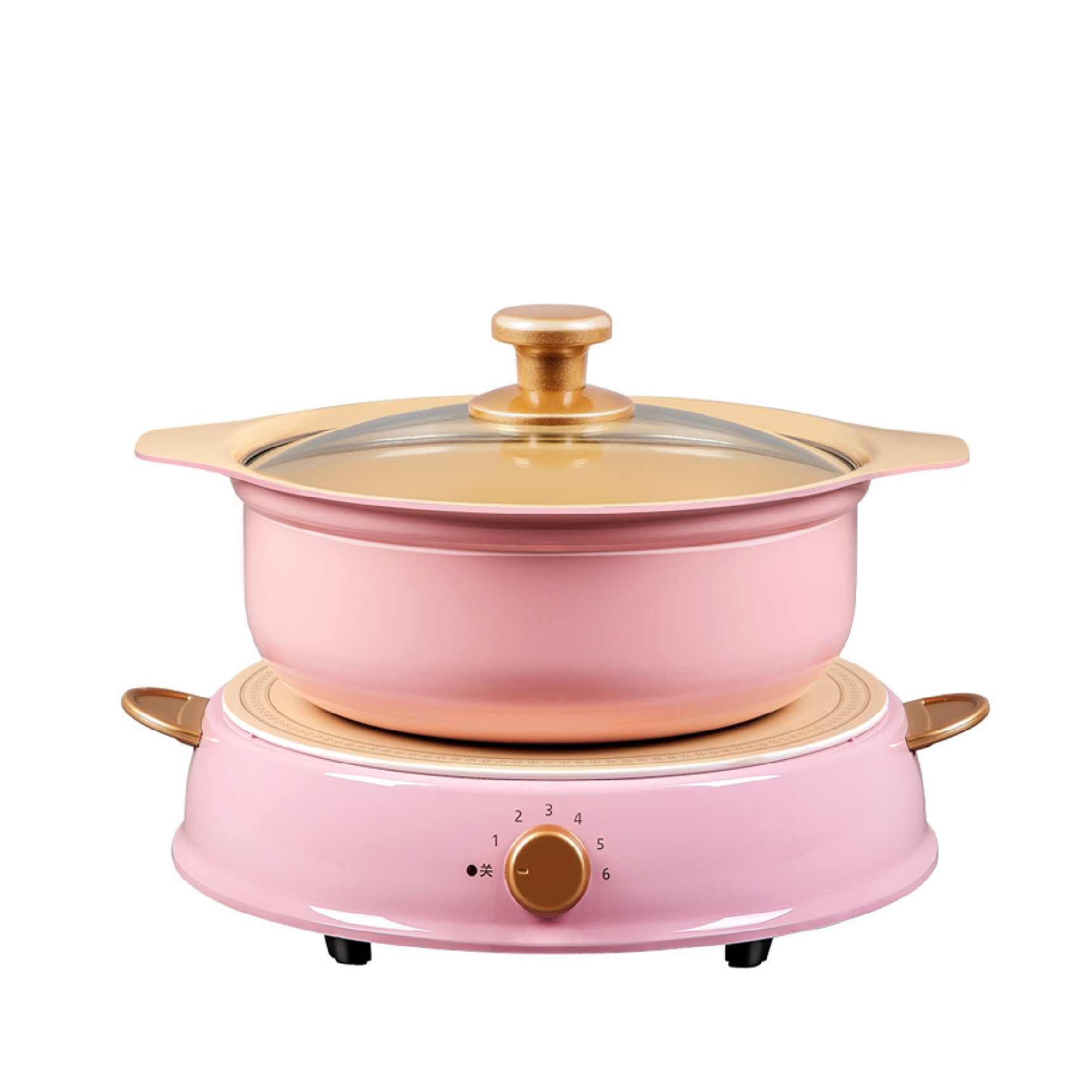 IRIS OHYAMA RICOPA Induction Cooker Ceramic Hot Pot Set IHL-R14 PINK